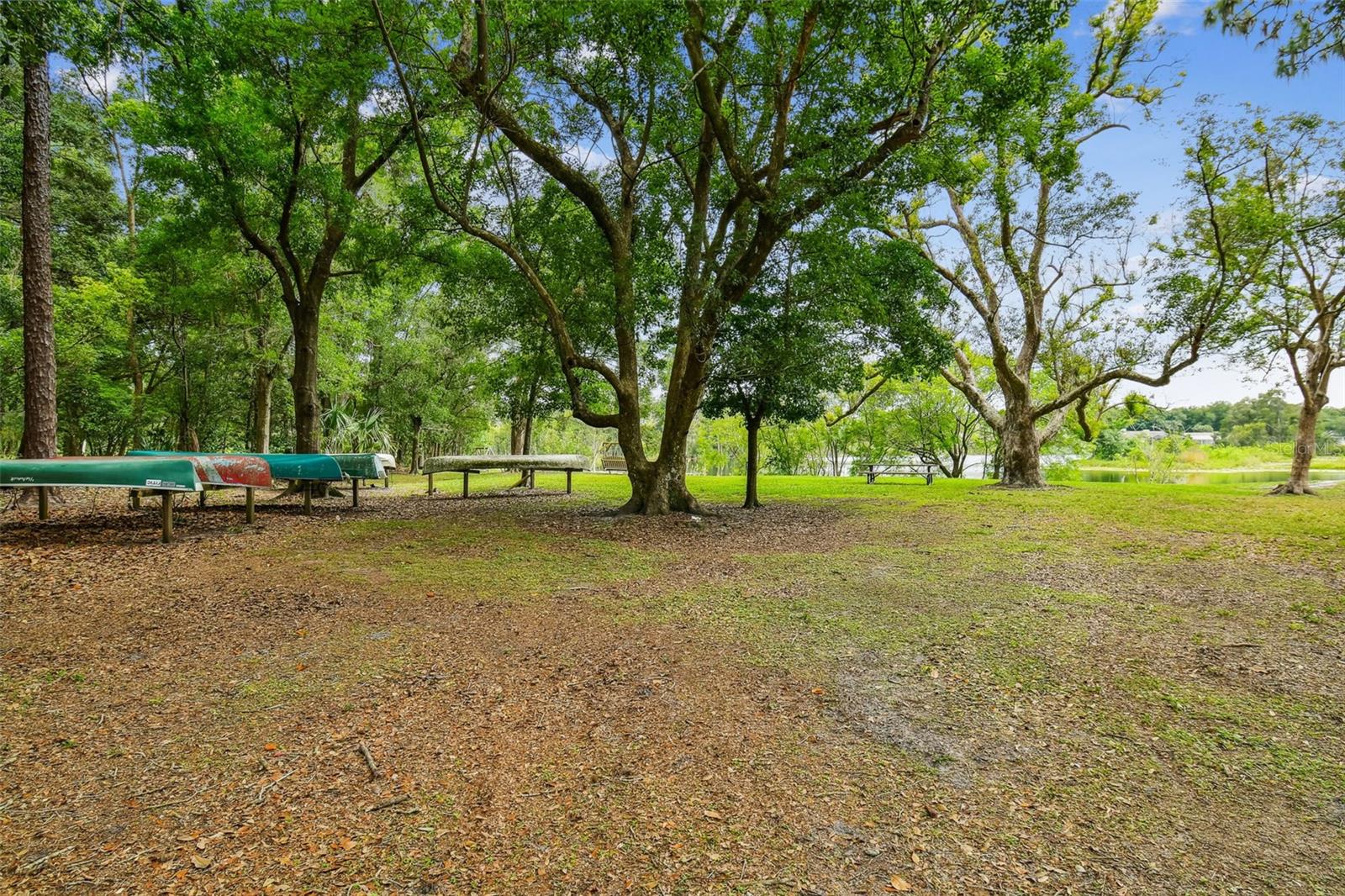 16711 LONGLEAT DR, LUTZ, FL — photo 69