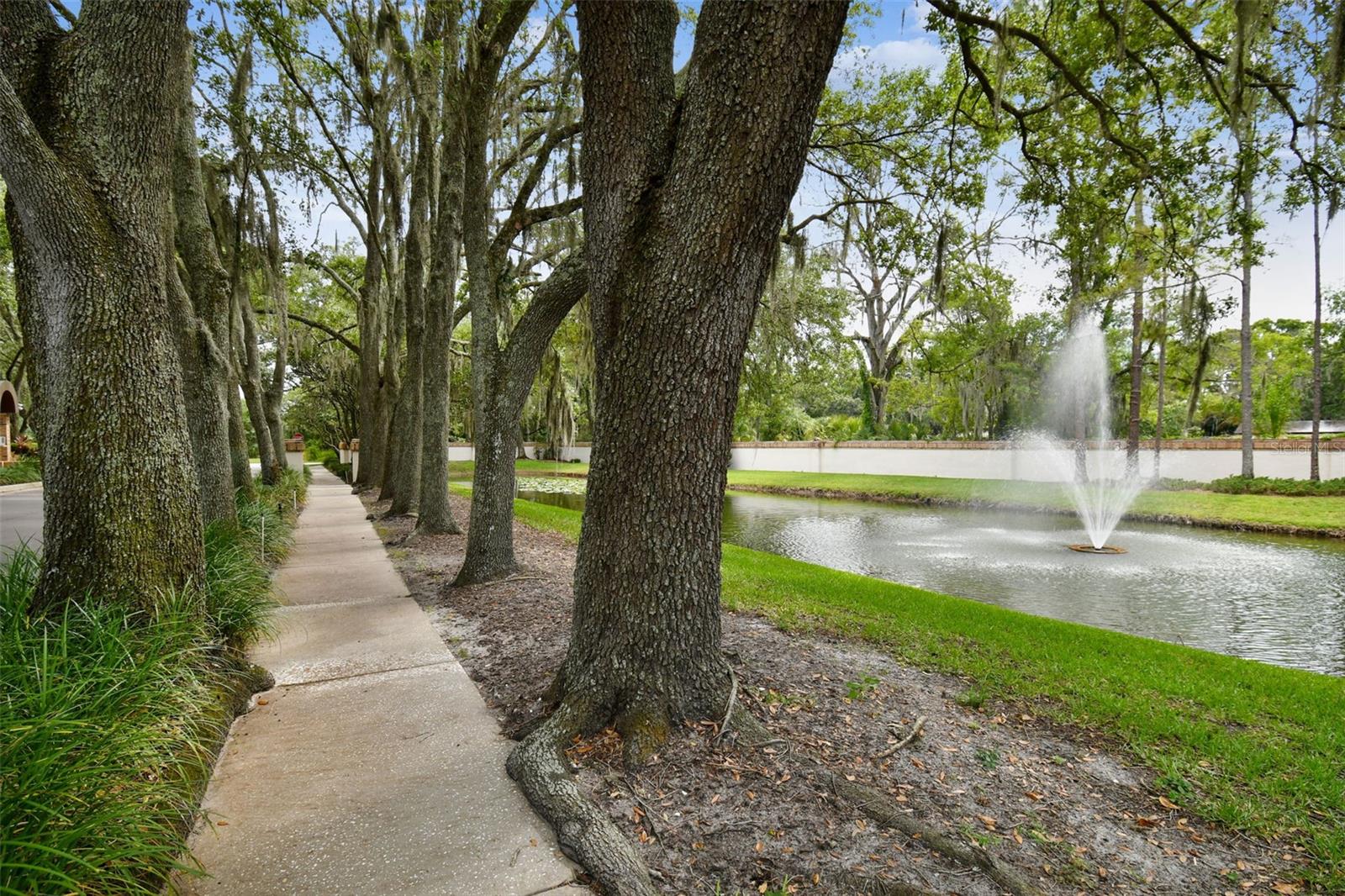 16711 LONGLEAT DR, LUTZ, FL — photo 80
