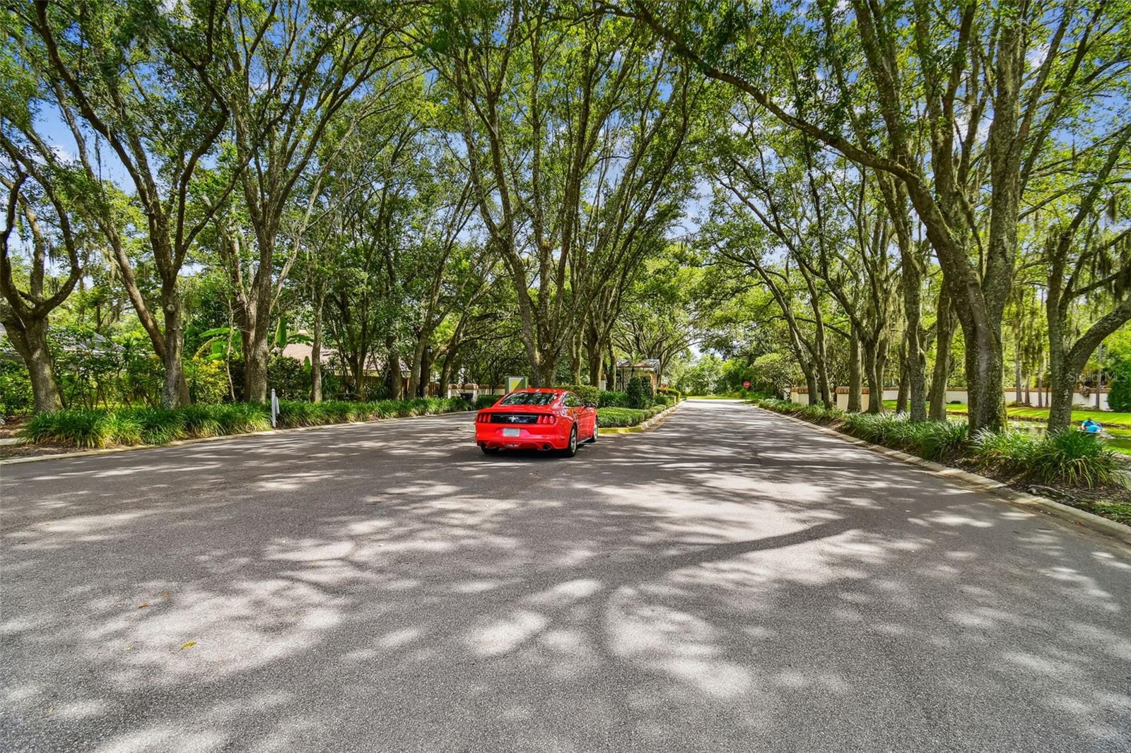 16711 LONGLEAT DR, LUTZ, FL — photo 82