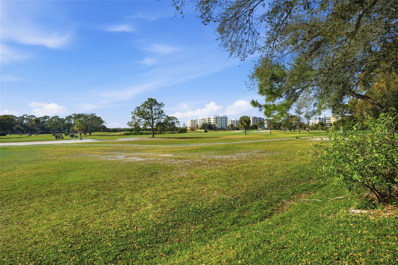 1050 STARKEY RD #2608, LARGO, FL — photo 53