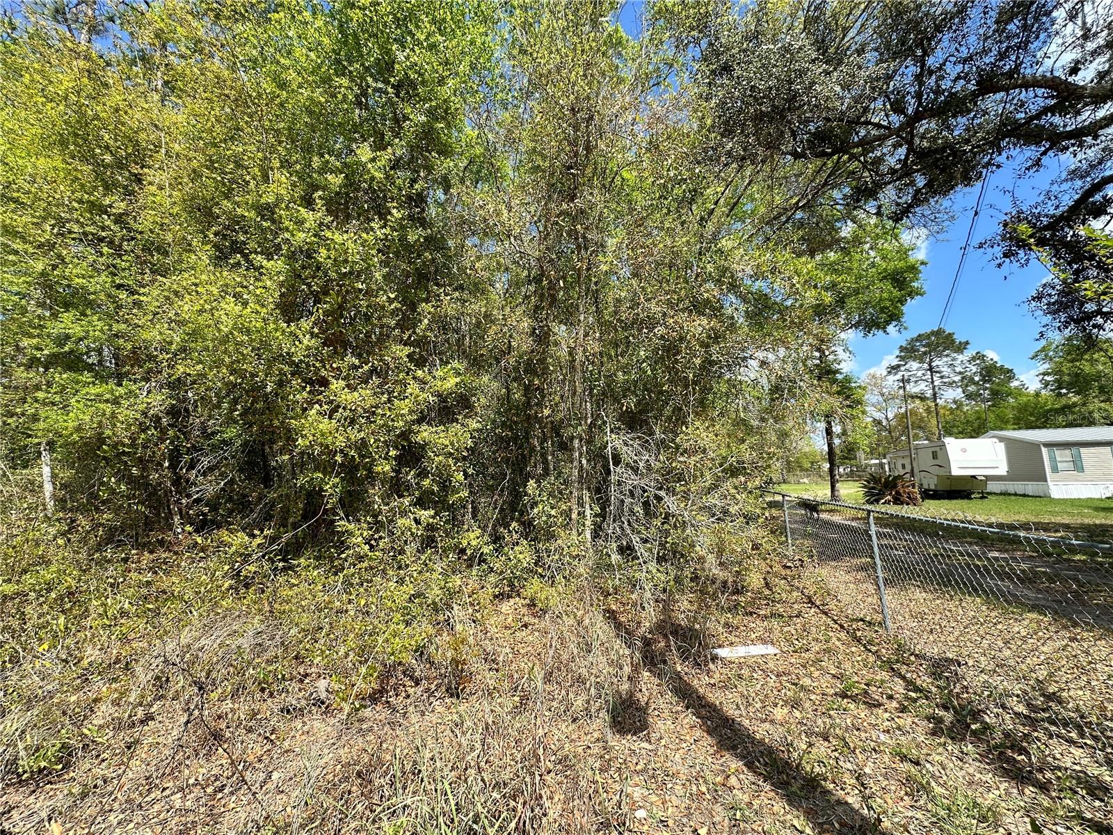 tbd HARDEE ST, BRONSON, FL — photo 2