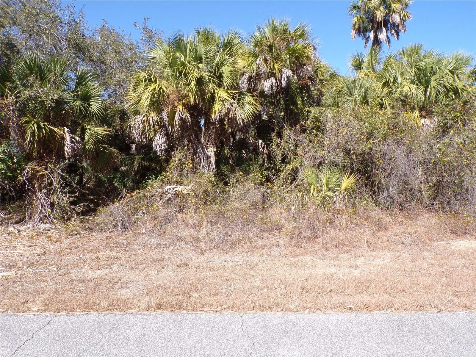 LAS ALMANOS AVE, NORTH PORT, FL — photo 1