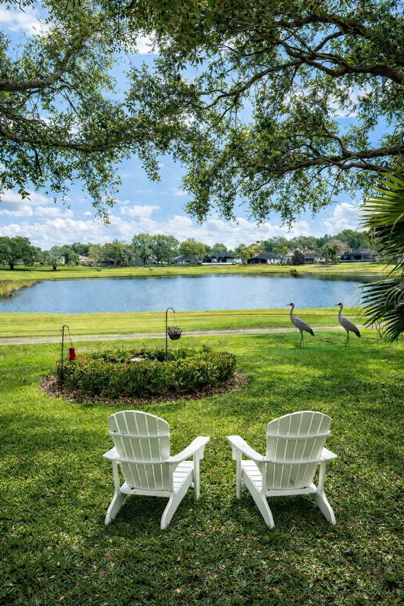 14747 GREEN VALLEY BLVD, CLERMONT, FL — photo 4