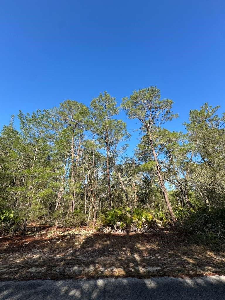 , OCKLAWAHA, FL