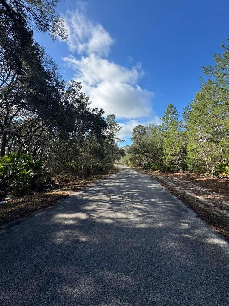 , OCKLAWAHA, FL — photo 2