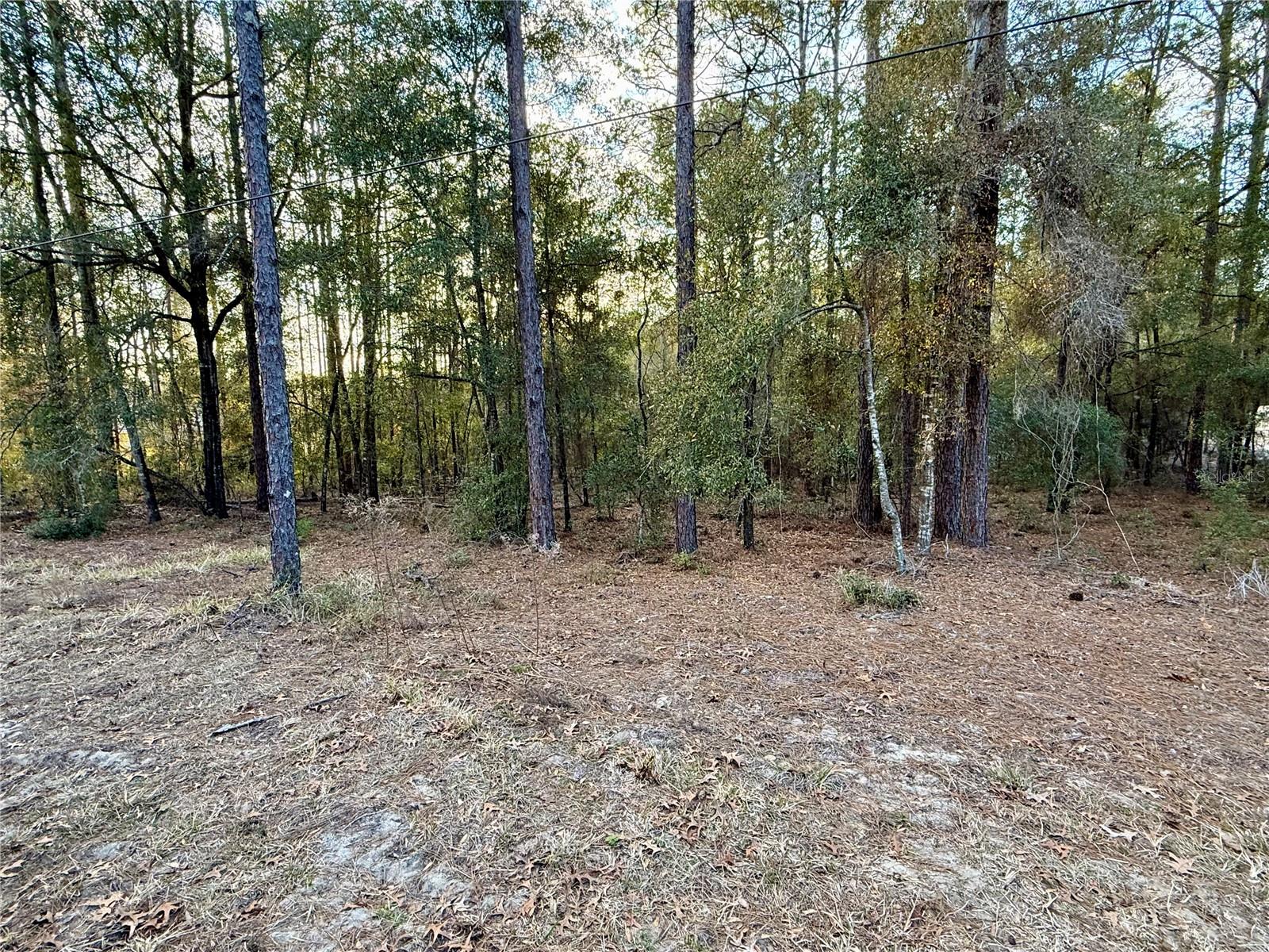SW 205TH CIRCLE, DUNNELLON, FL