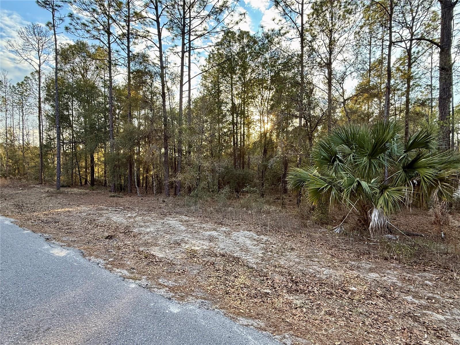 SW 205TH CIRCLE, DUNNELLON, FL — photo 2