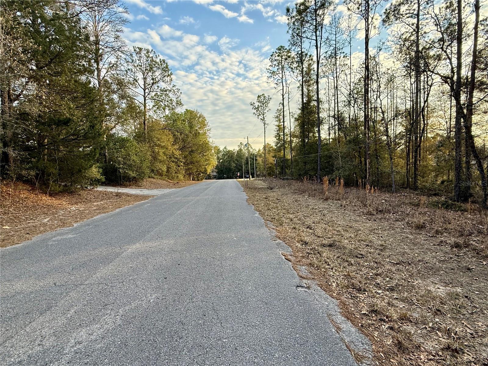 SW 205TH CIRCLE, DUNNELLON, FL — photo 3