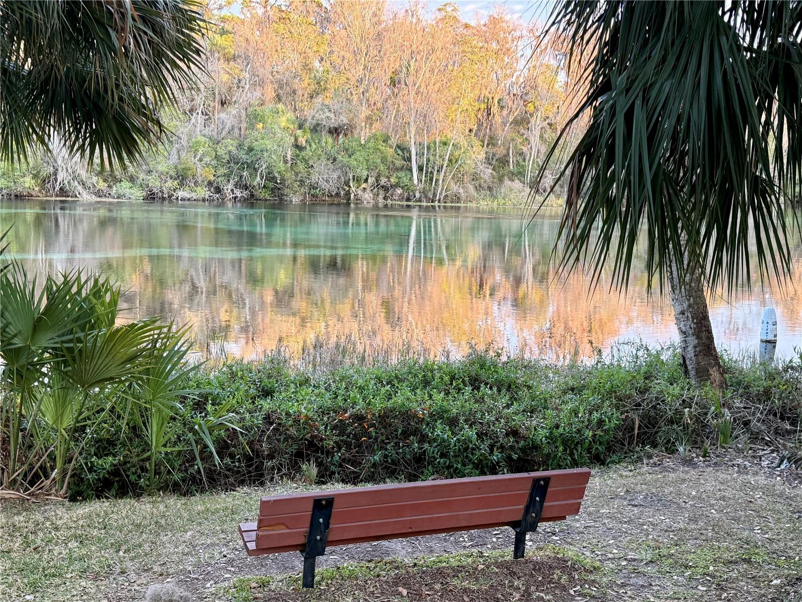 SW 205TH CIRCLE, DUNNELLON, FL — photo 9