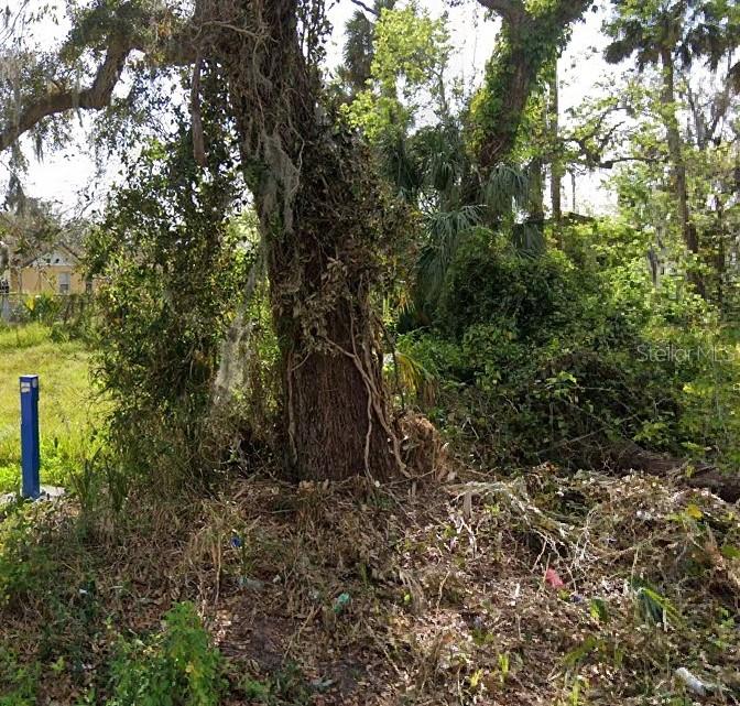 00 DIVISION ST, DAYTONA BEACH, FL — photo 5