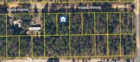 111 YEATTS AVE, INTERLACHEN, FL