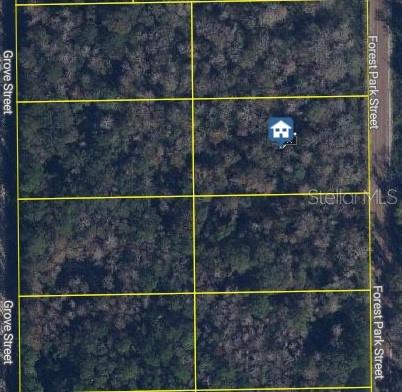2068 FOREST PARK ST, BUNNELL, FL — photo 2