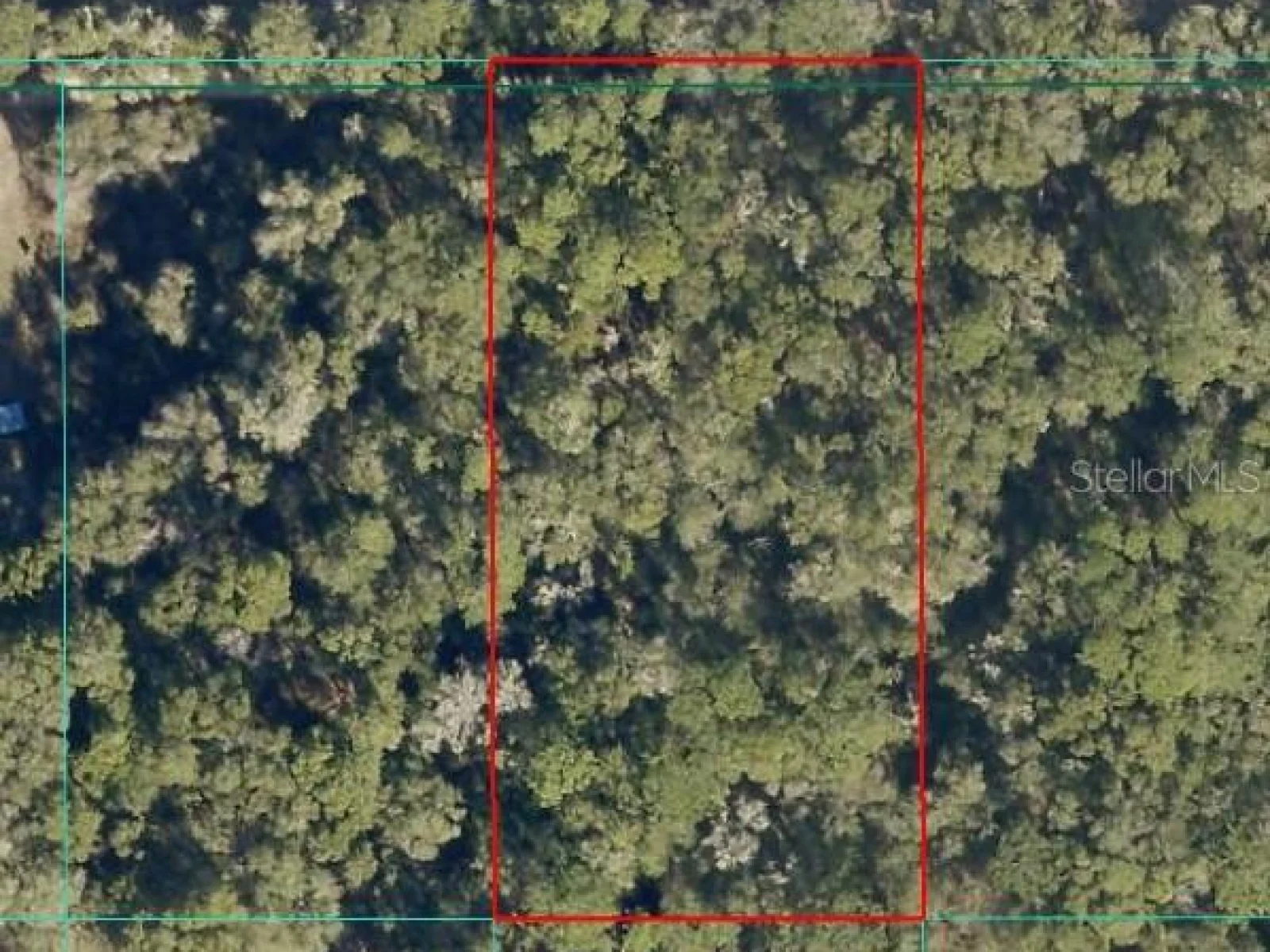 Tract 15 SW 150TH ST, DUNNELLON, FL — photo 3