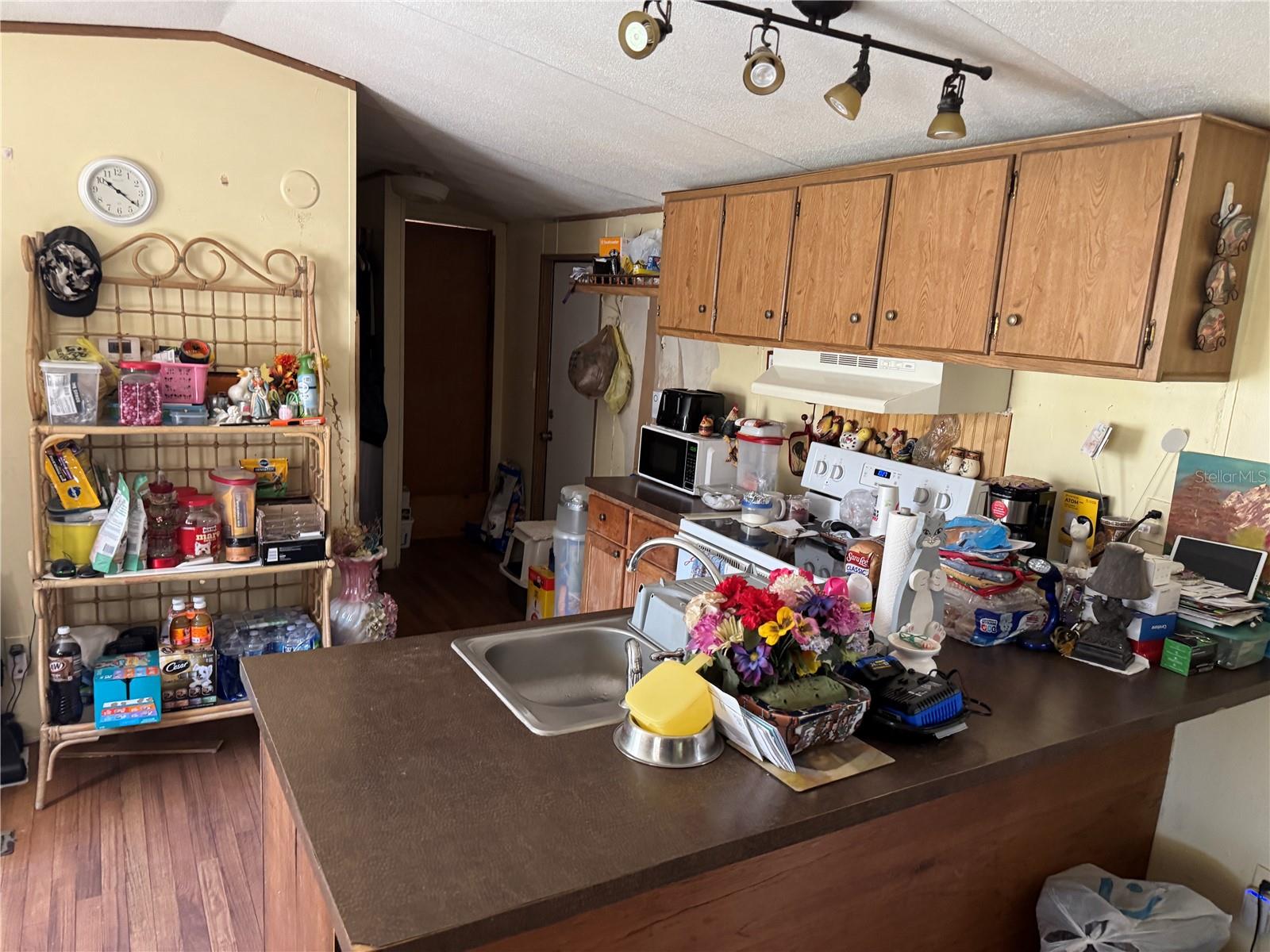 18110 SPANGLER AVE, BROOKSVILLE, FL — photo 31