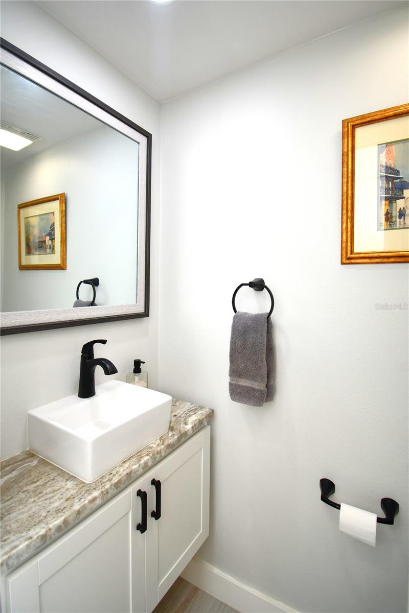 1245 N ALEXANDER ST, MOUNT DORA, FL — photo 50