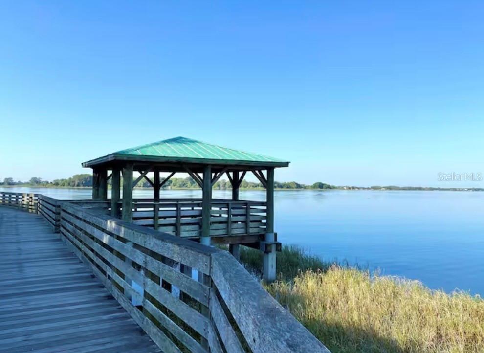 1245 N ALEXANDER ST, MOUNT DORA, FL — photo 108