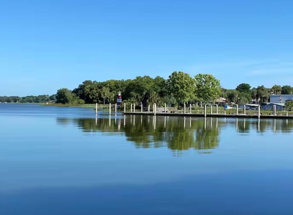 1245 N ALEXANDER ST, MOUNT DORA, FL — photo 111