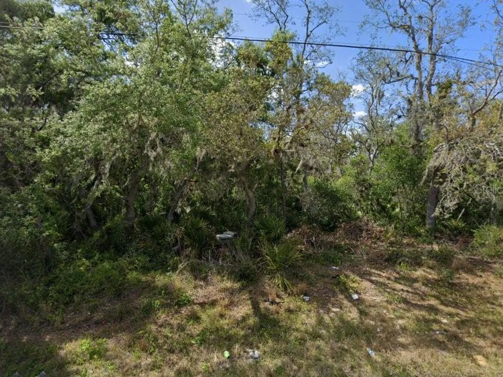 5713 COUNTY ROAD 17 S, SEBRING, FL — photo 1