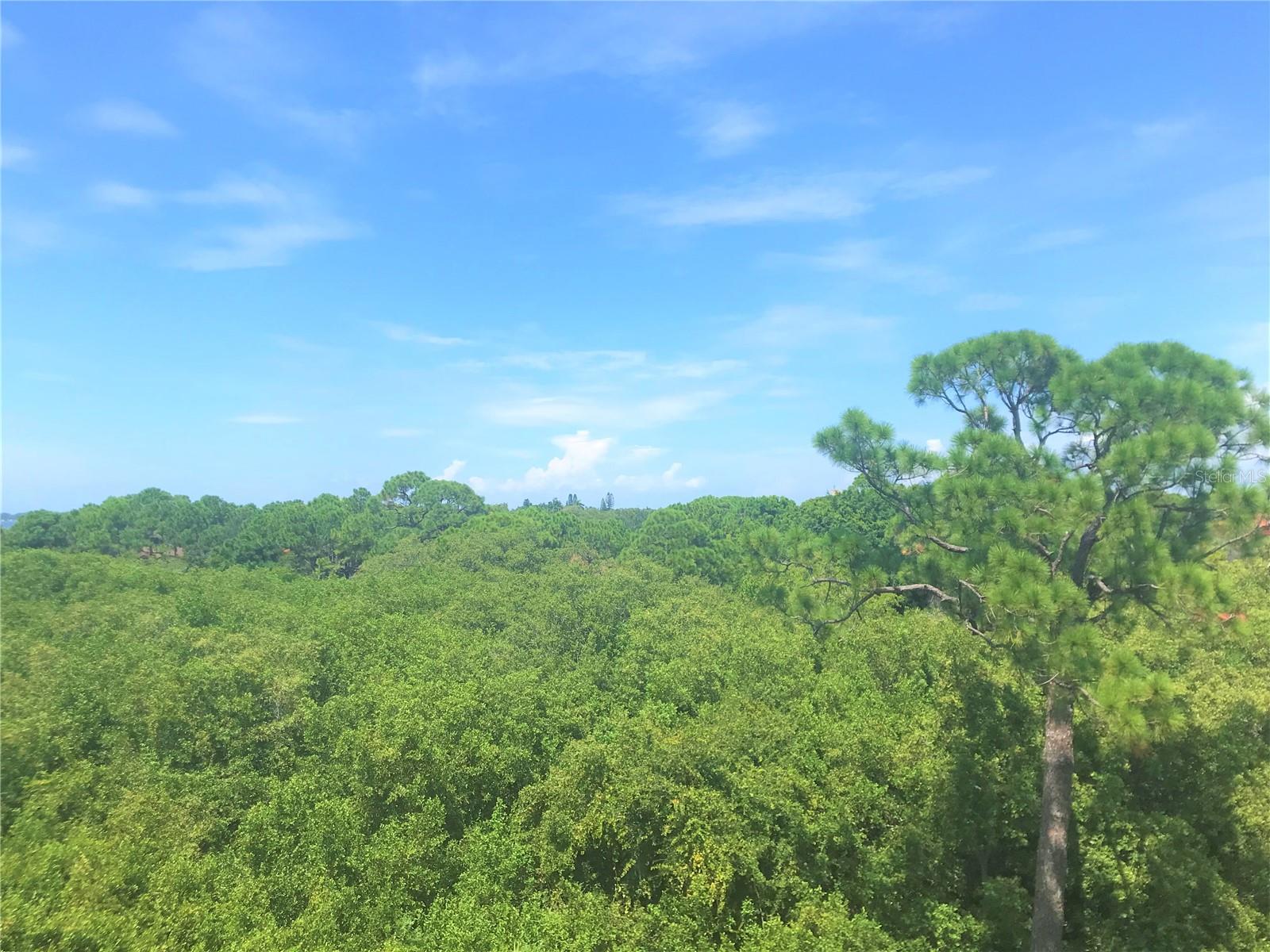 7710 34TH AVE W #303, BRADENTON, FL — photo 10