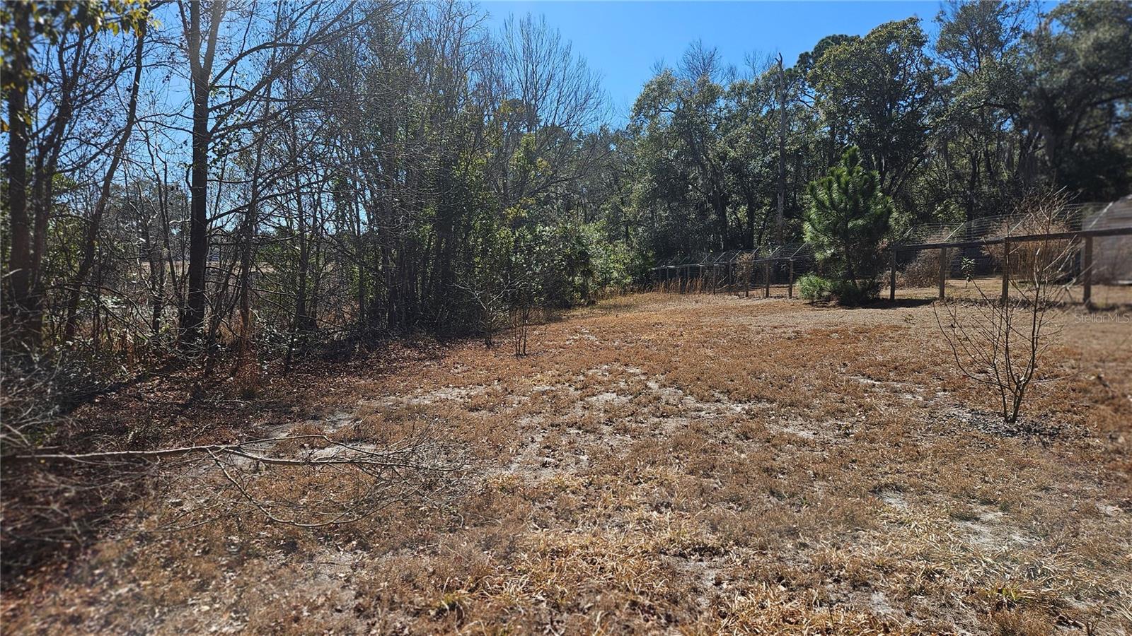 43734 WEST LN, PAISLEY, FL — photo 39