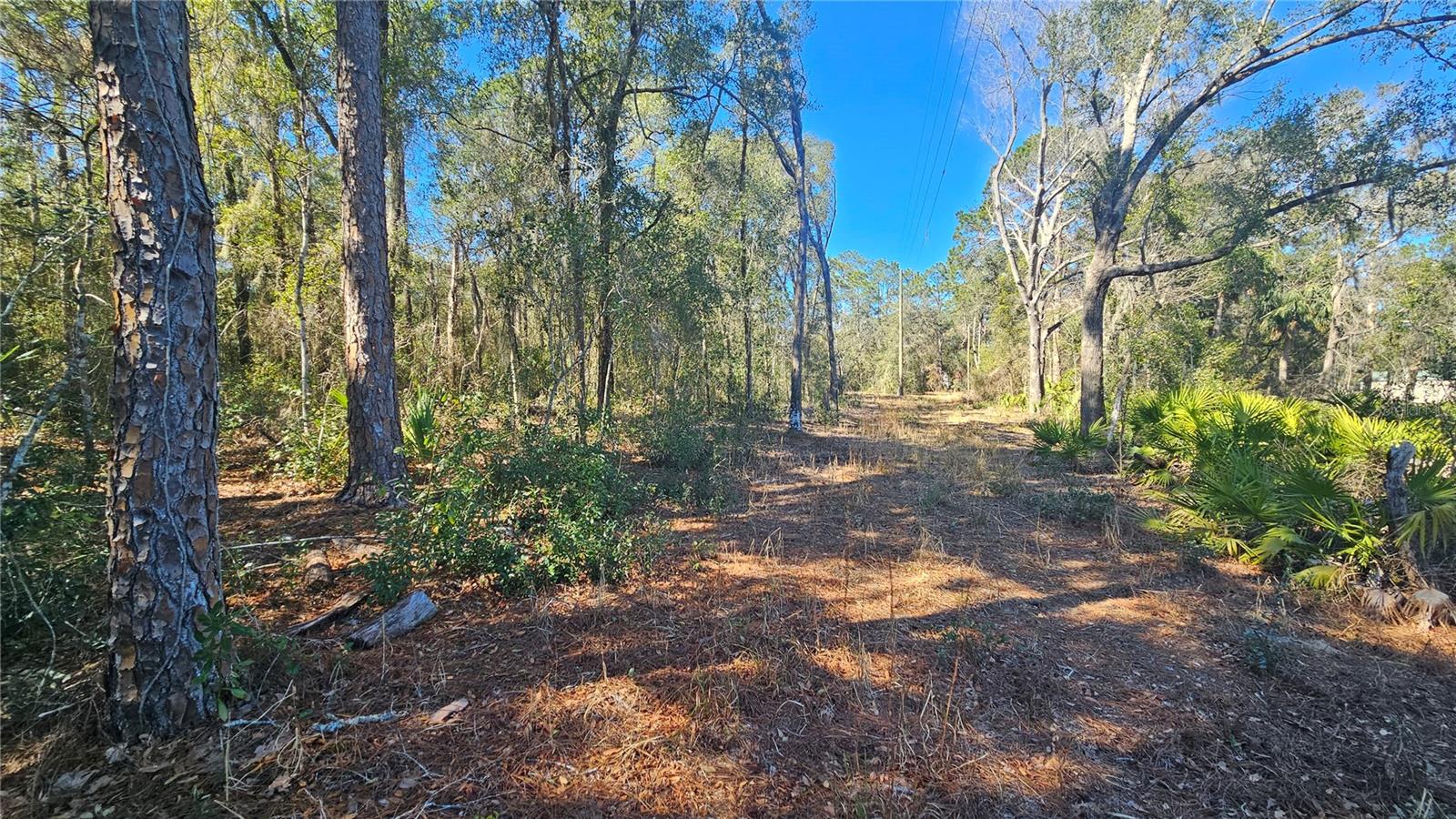 43734 WEST LN, PAISLEY, FL — photo 42