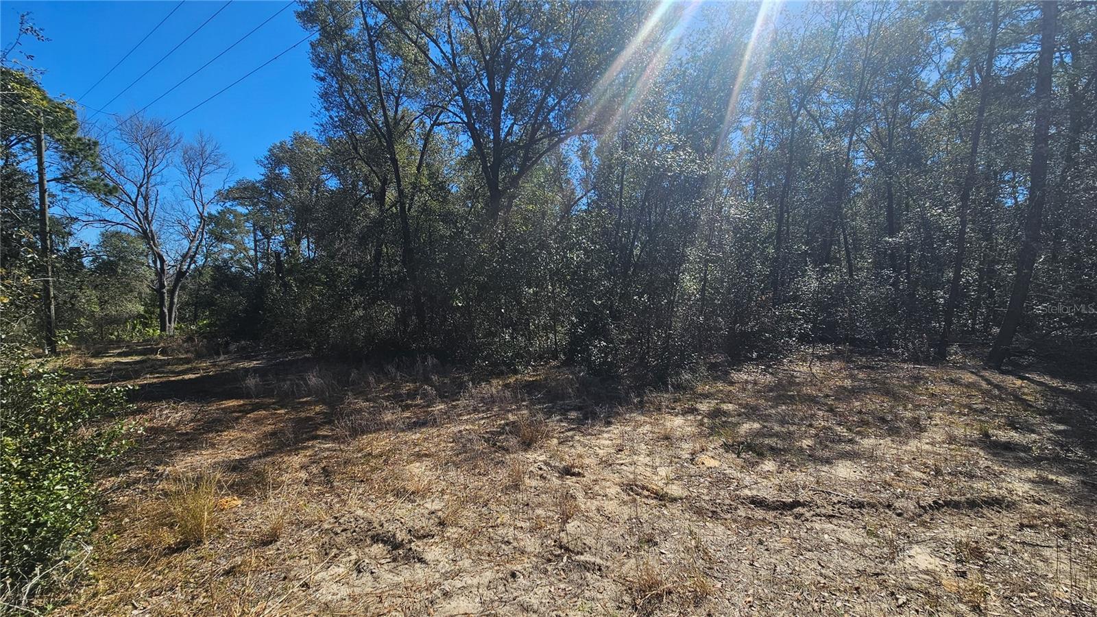 43734 WEST LN, PAISLEY, FL — photo 48