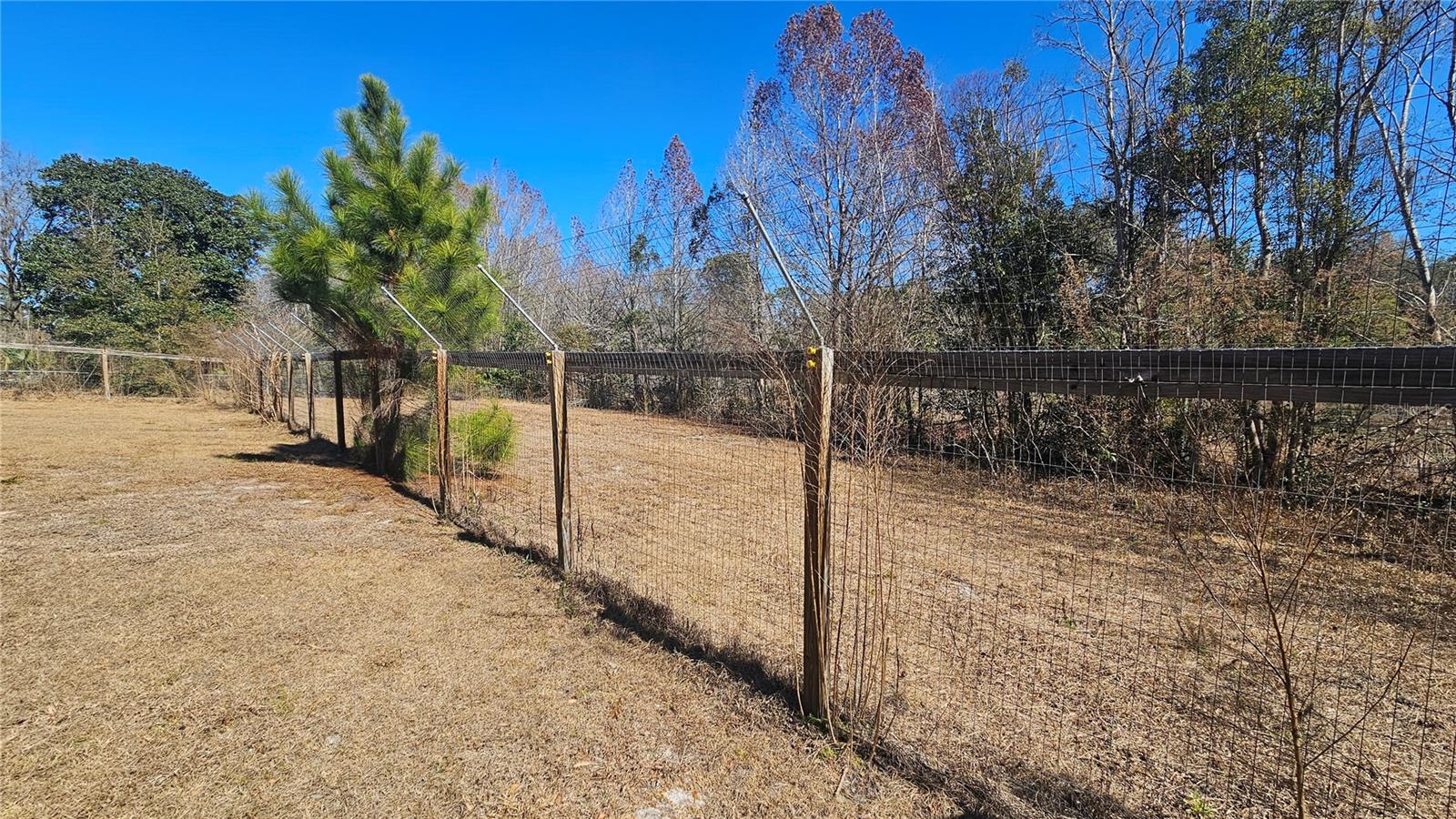 43734 WEST LN, PAISLEY, FL — photo 57