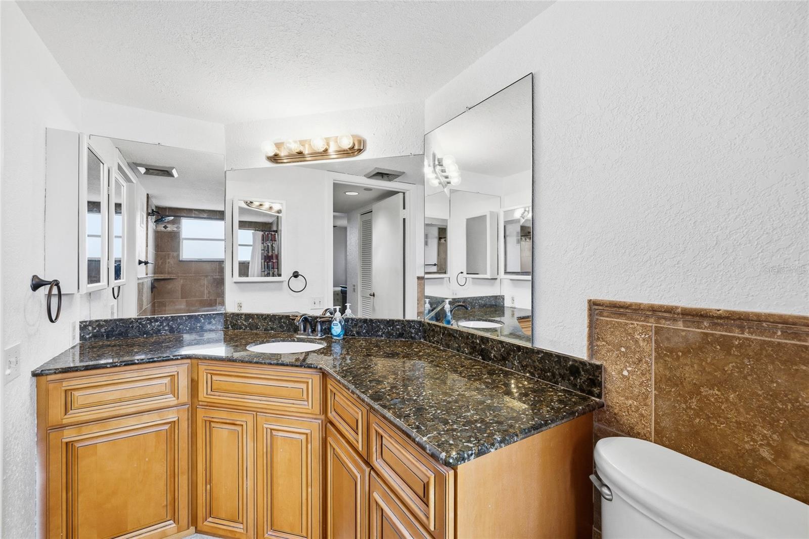 2333 FEATHER SOUND DR #A101, CLEARWATER, FL — photo 7