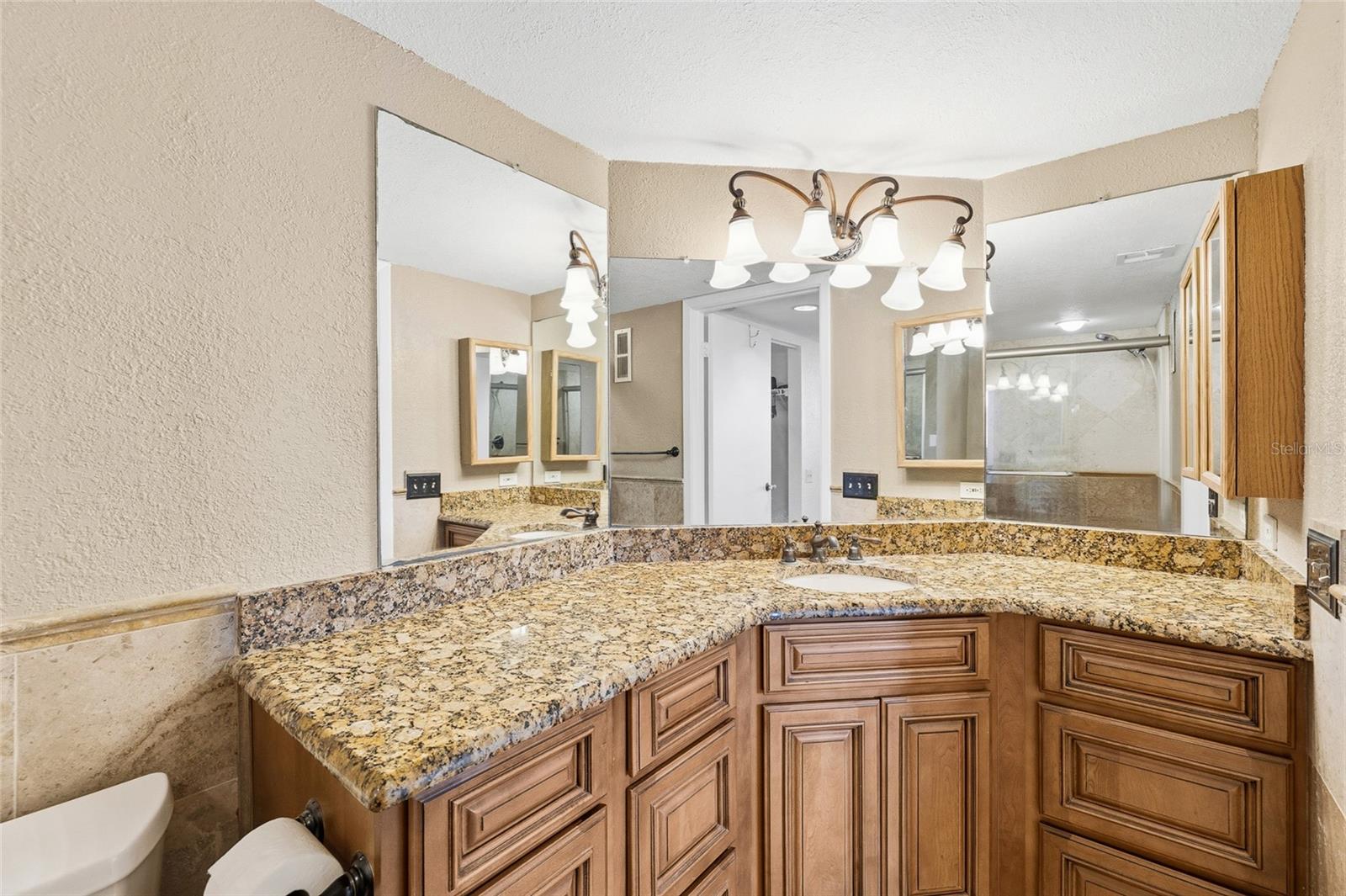 2333 FEATHER SOUND DR #A101, CLEARWATER, FL — photo 16