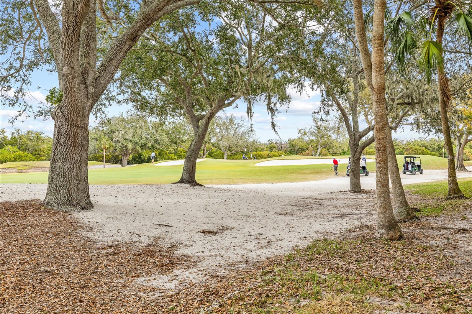 2333 FEATHER SOUND DR #A101, CLEARWATER, FL — photo 41