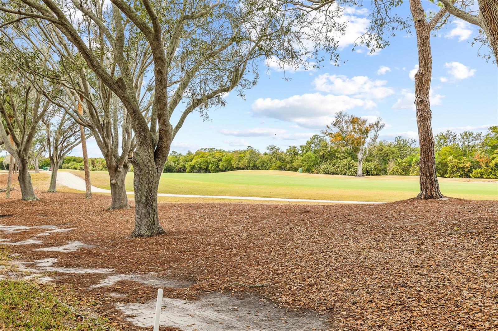 2333 FEATHER SOUND DR #A101, CLEARWATER, FL — photo 42