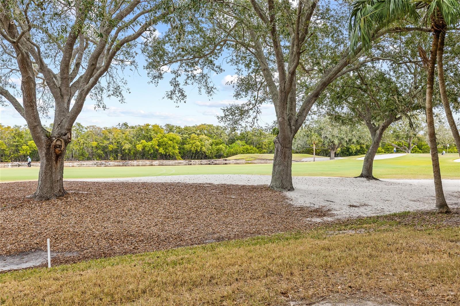 2333 FEATHER SOUND DR #A101, CLEARWATER, FL — photo 45