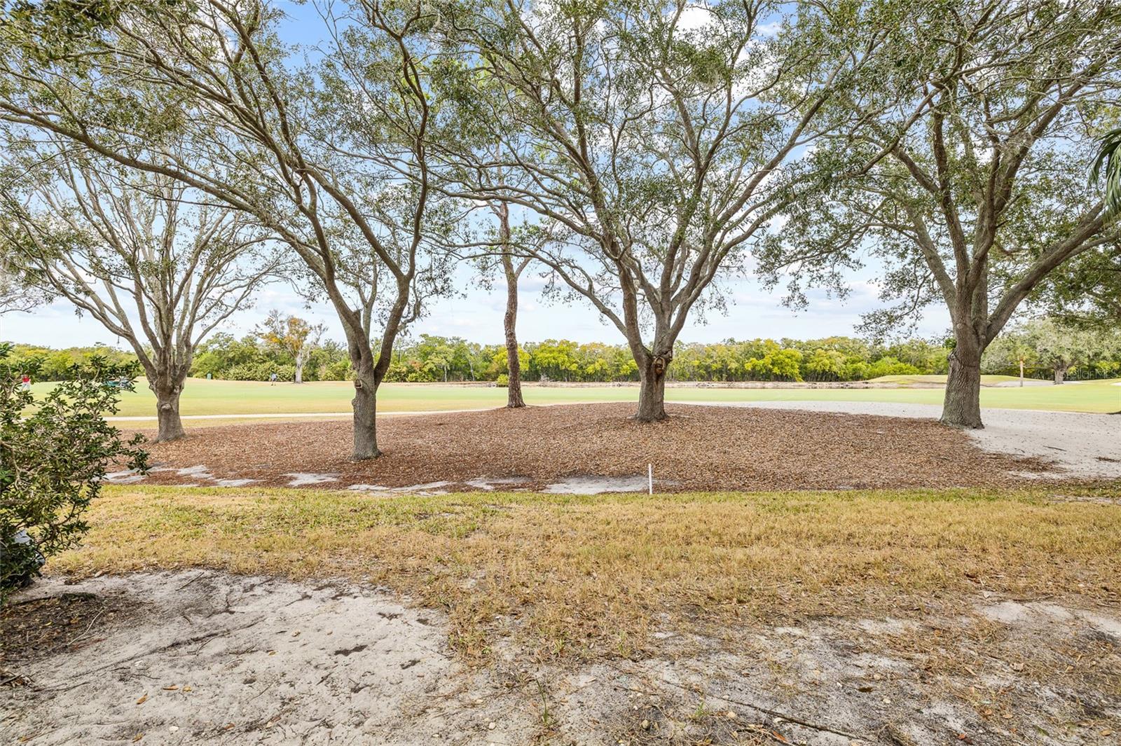 2333 FEATHER SOUND DR #A101, CLEARWATER, FL — photo 46