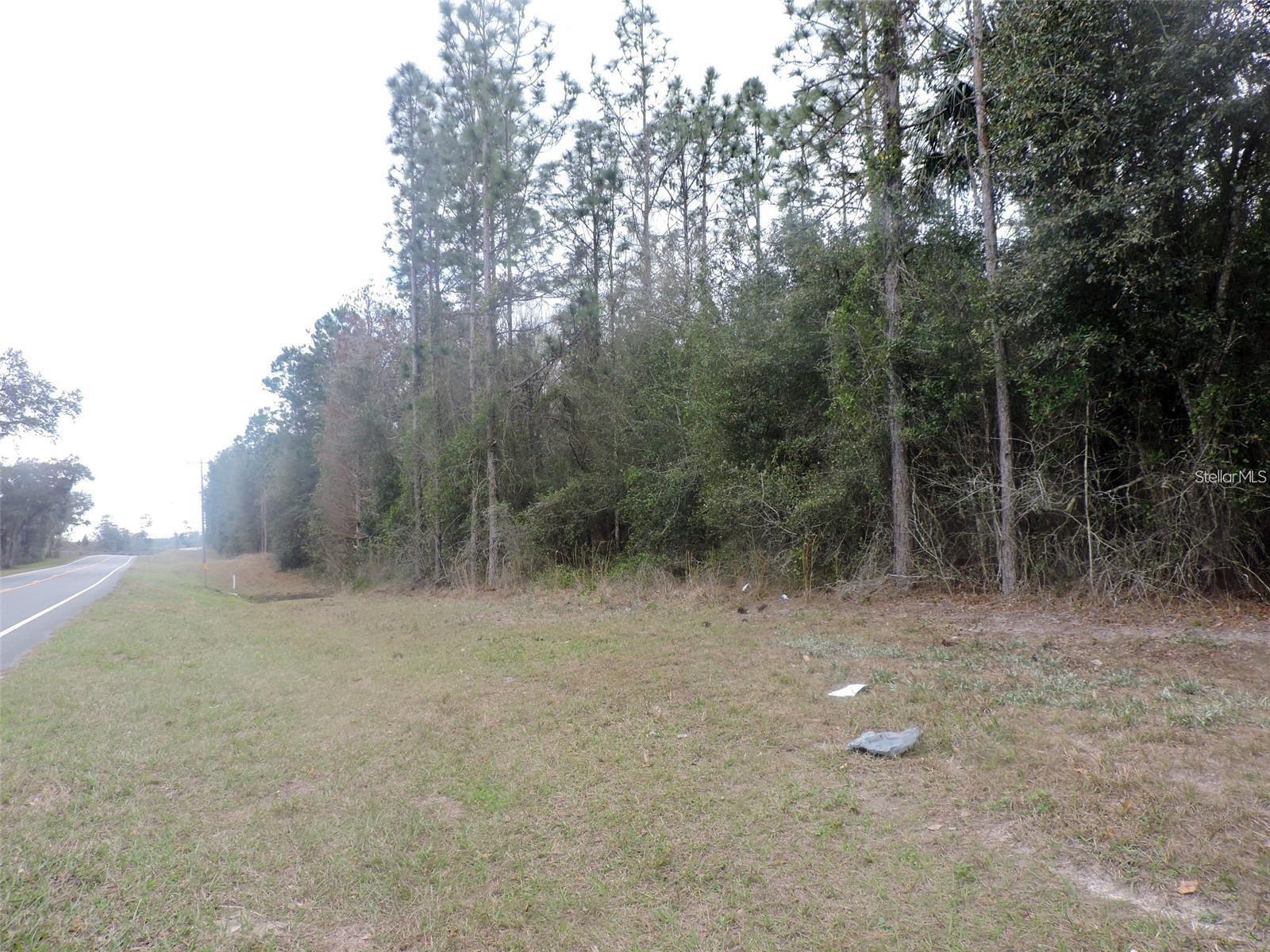 TBD N STATE ROAD 21, HAWTHORNE, FL — photo 4