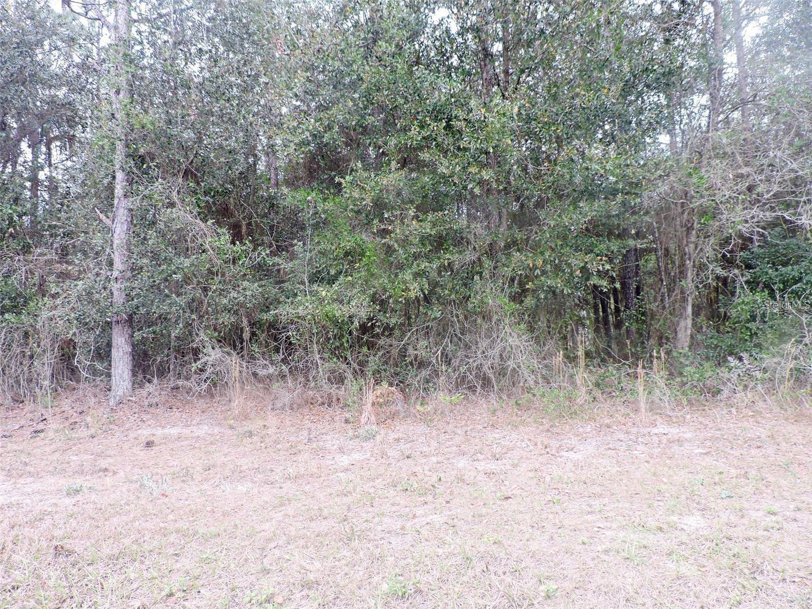 TBD N STATE ROAD 21, HAWTHORNE, FL — photo 5