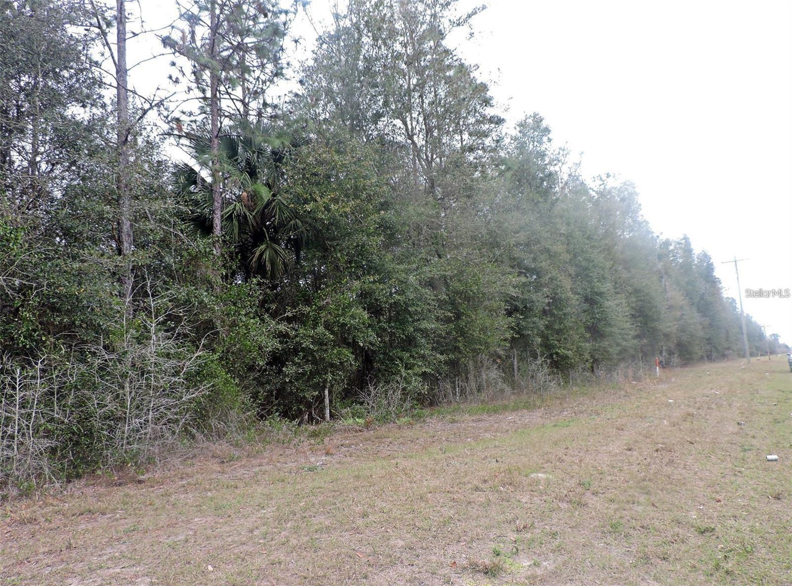 TBD N STATE ROAD 21, HAWTHORNE, FL — photo 6
