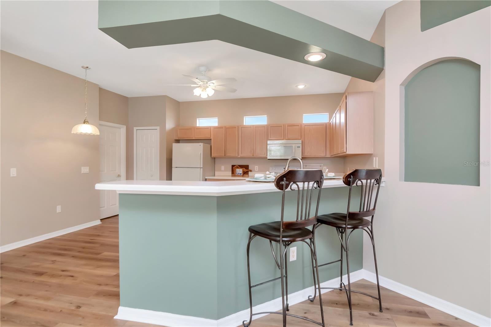 21433 DIAMONTE DR, LAND O LAKES, FL — photo 11