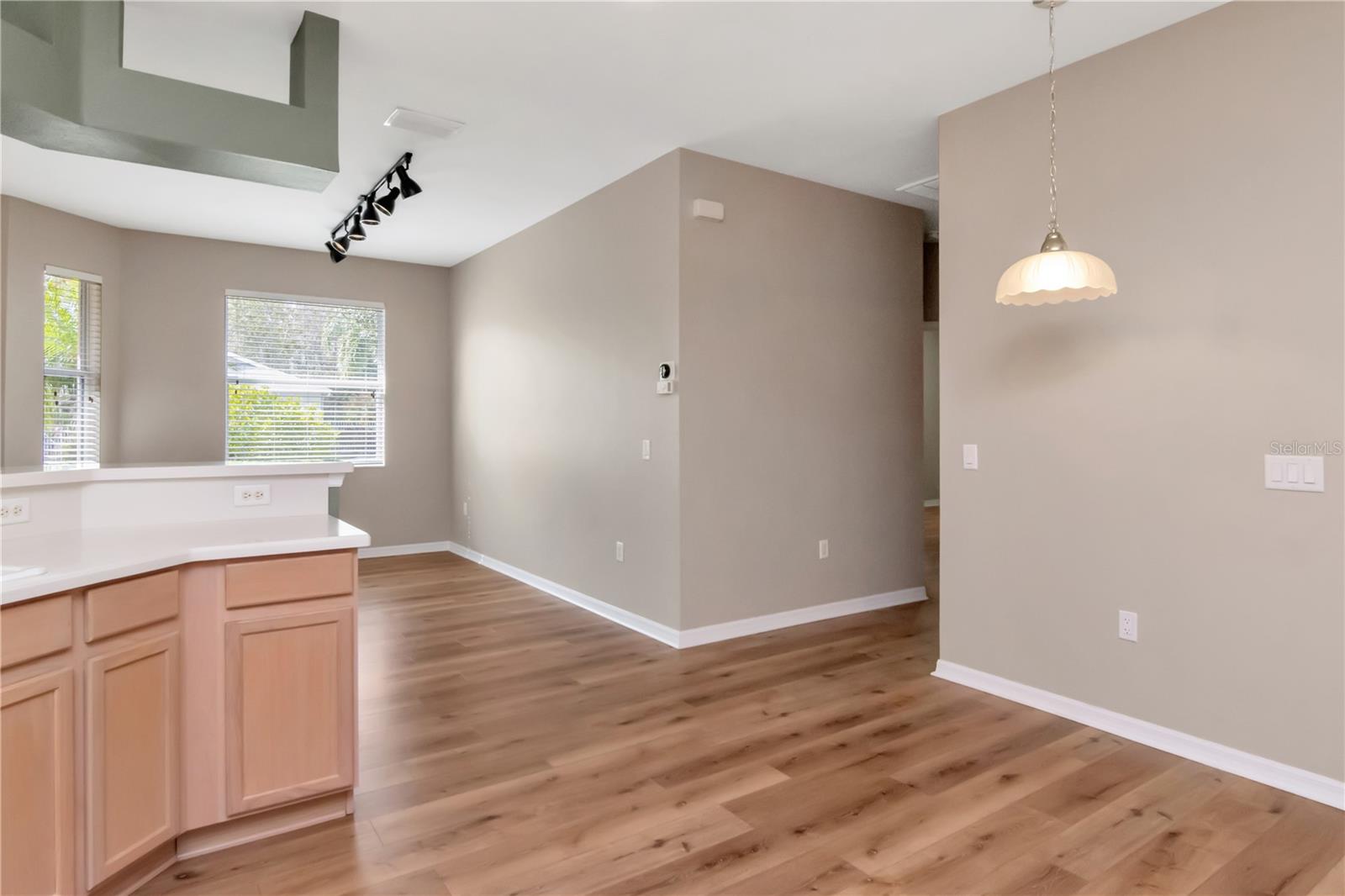 21433 DIAMONTE DR, LAND O LAKES, FL — photo 24