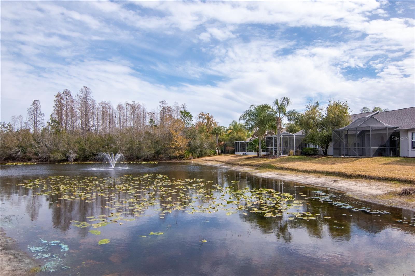 21433 DIAMONTE DR, LAND O LAKES, FL — photo 36