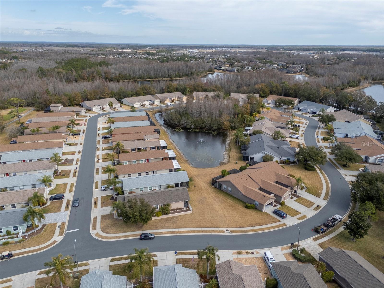 21433 DIAMONTE DR, LAND O LAKES, FL — photo 38