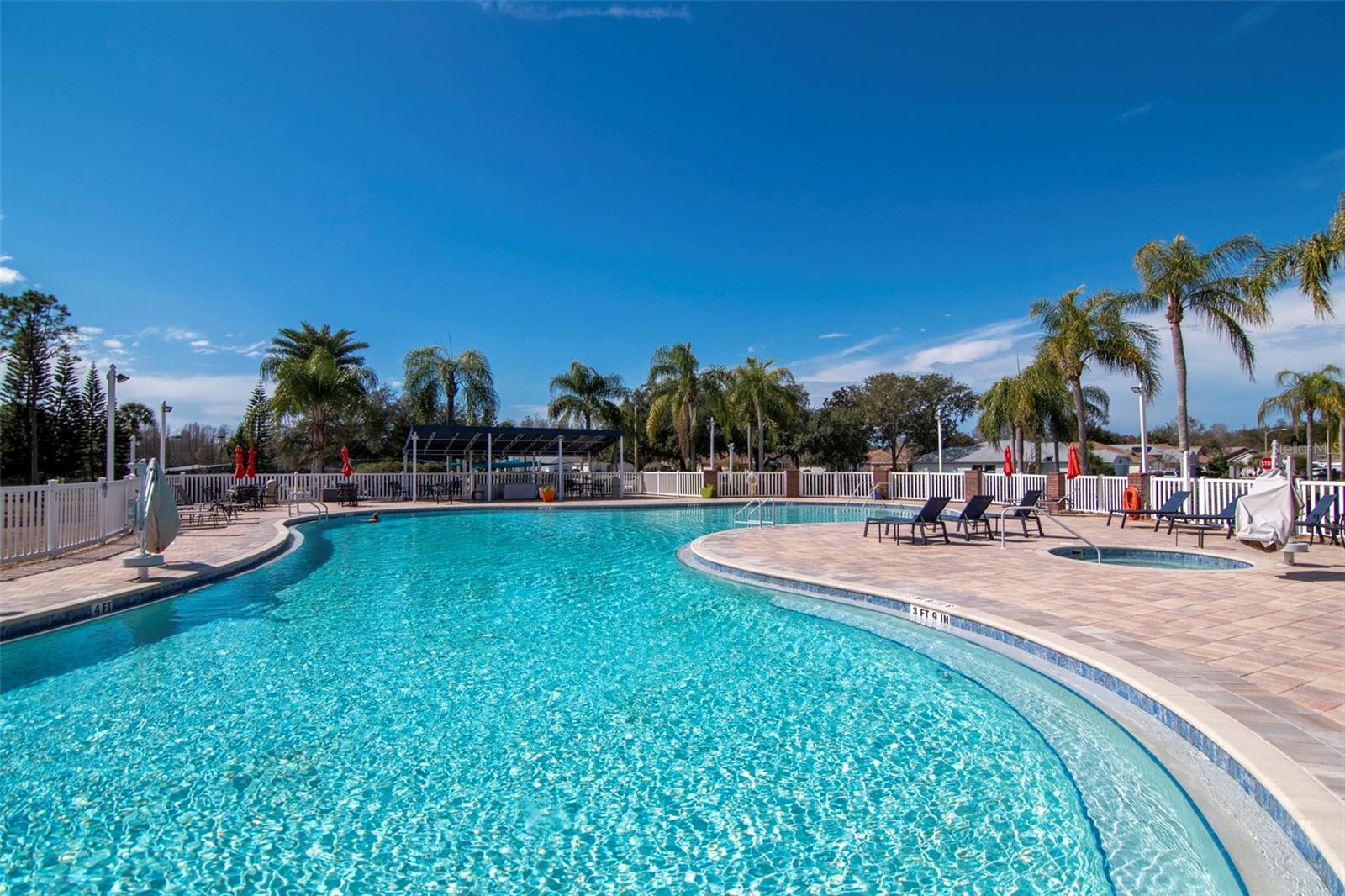 21433 DIAMONTE DR, LAND O LAKES, FL — photo 41