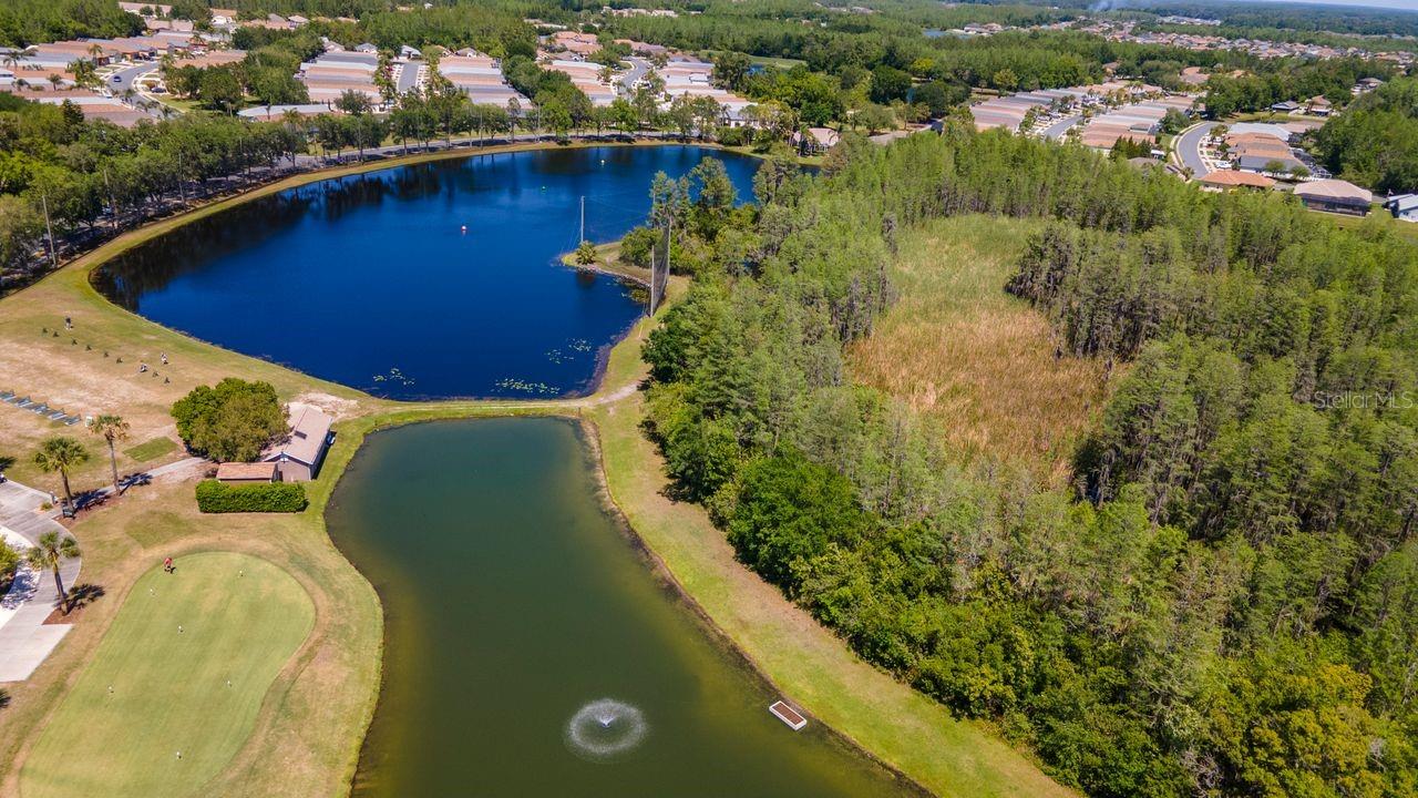 21433 DIAMONTE DR, LAND O LAKES, FL — photo 52