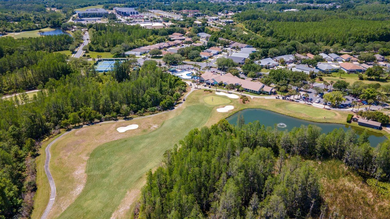 21433 DIAMONTE DR, LAND O LAKES, FL — photo 54