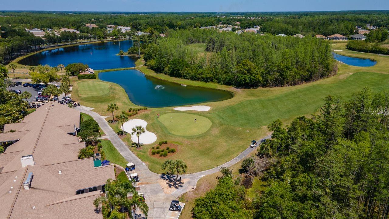 21433 DIAMONTE DR, LAND O LAKES, FL — photo 55