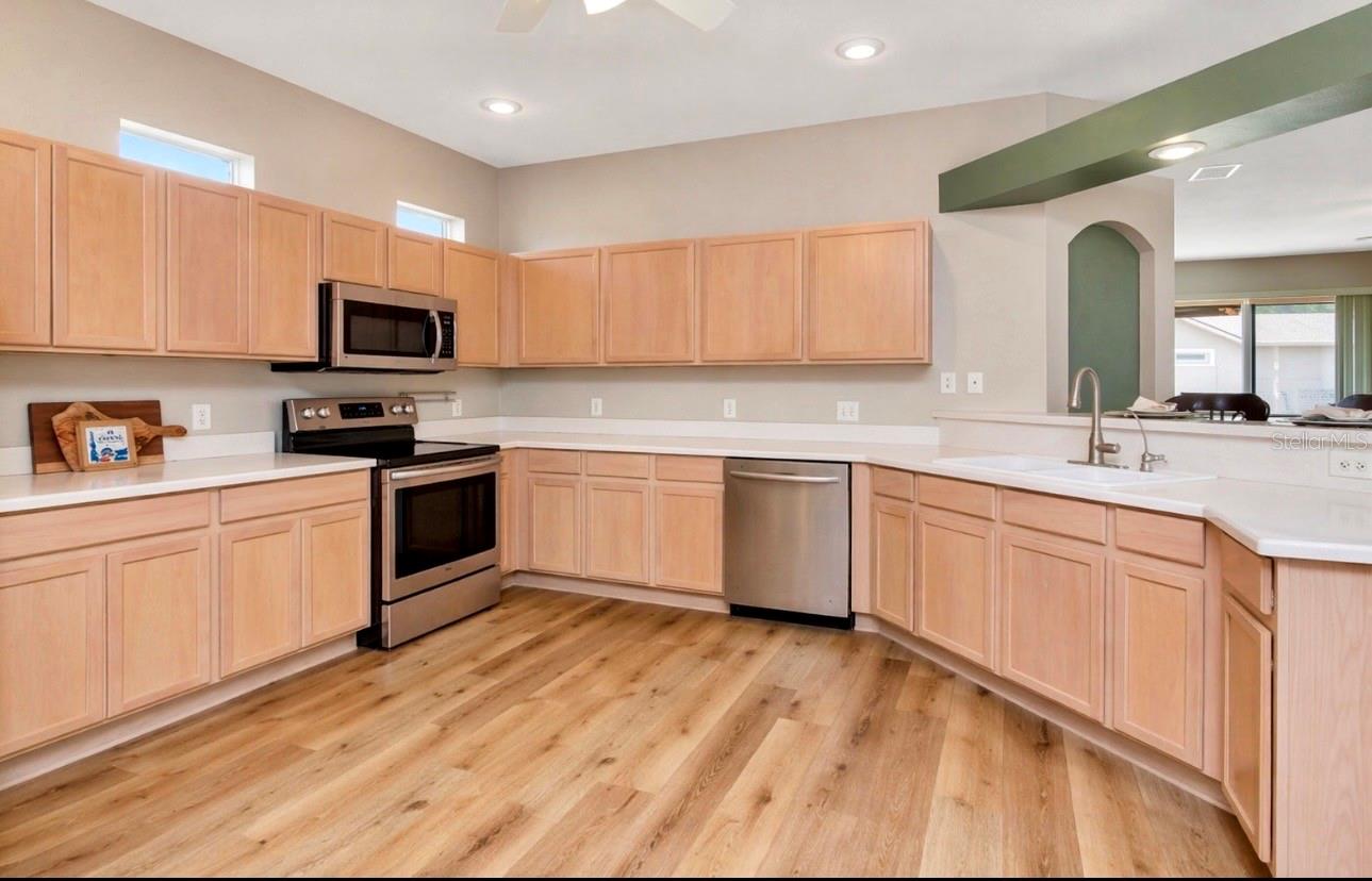 21433 DIAMONTE DR, LAND O LAKES, FL — photo 12