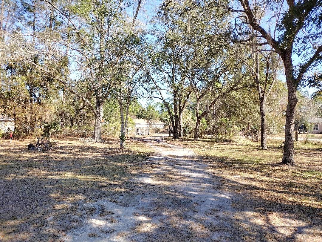 1916 LAUREL AVE, BUNNELL, FL — photo 29