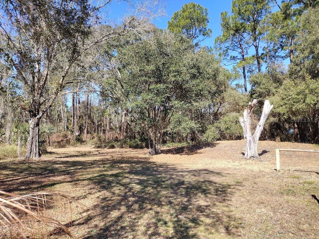 1916 LAUREL AVE, BUNNELL, FL — photo 31