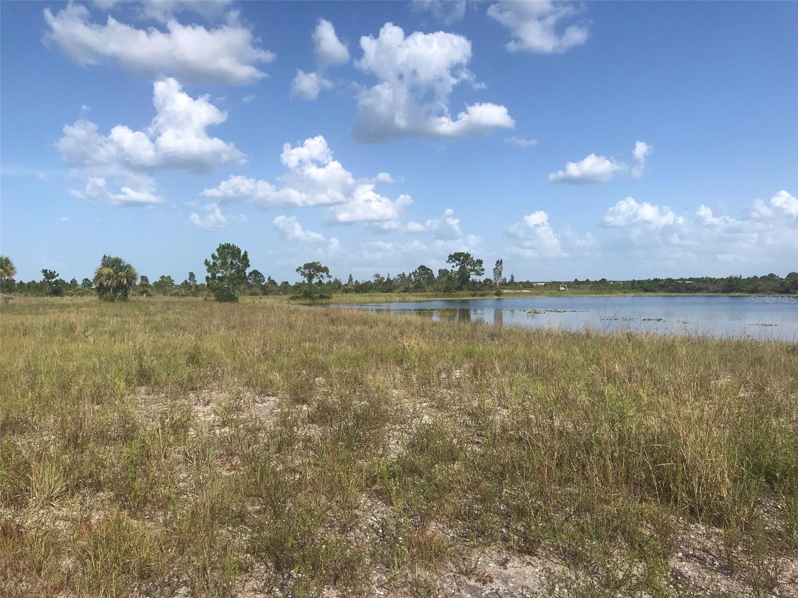 48033 BERMONT RD, PUNTA GORDA, FL — photo 8