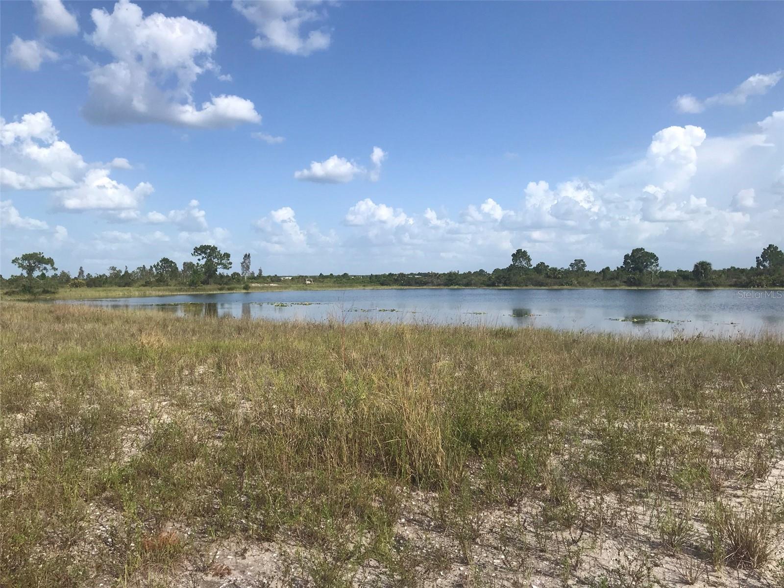 48033 BERMONT RD, PUNTA GORDA, FL — photo 9