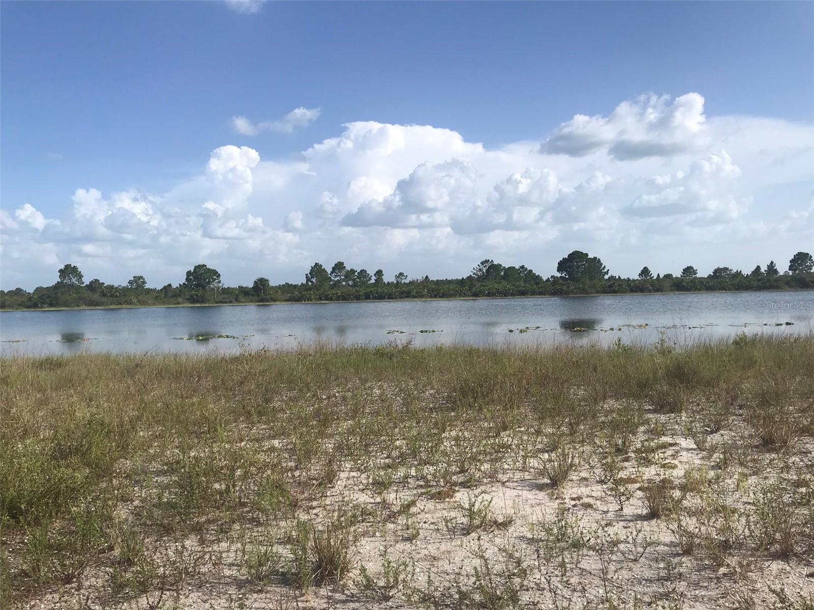 48033 BERMONT RD, PUNTA GORDA, FL — photo 12